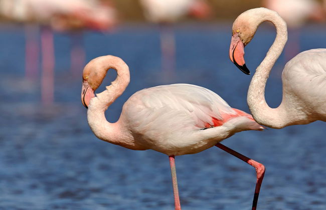 Day Trip to the Pozuelos Lagoon - Foto 1