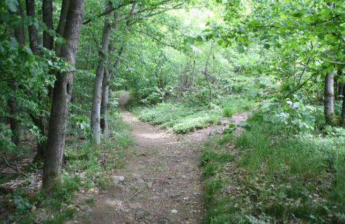 Haus Lila Welle - Foto 23