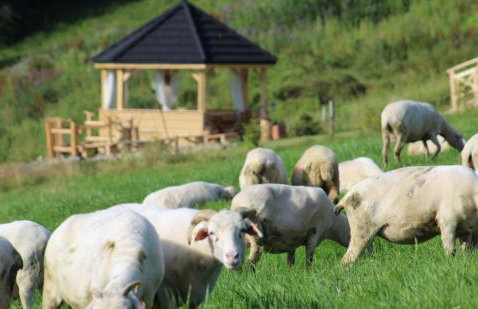 Domki Góralskie Tatrzański Zakątek - Foto 40