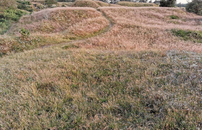 6 Person Holiday Home in Frederikshavn-by Traum - Foto 8