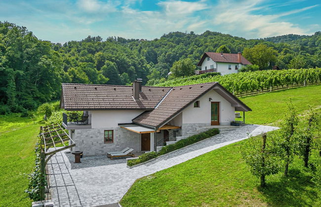 Vineyard Cottage Radovlja With Sauna - Foto 27