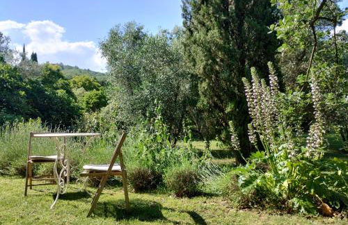 Marrucheto - Foto 20