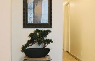 Monte Vista - Foto 16