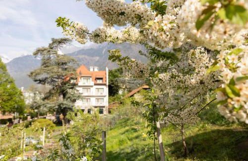 Ladurnerhof Boutique Apartments Meran - Photo 45