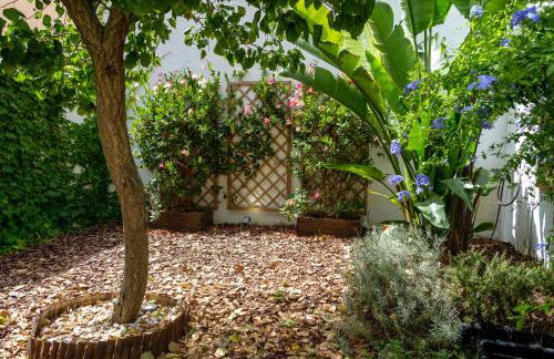 Pretty house Sa Font in Santa Catalina Palma city - Foto 54