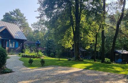 Niezapominajka - Foto 36