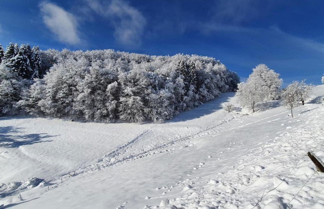 Apartment in Kleines Wiesental - Foto 30