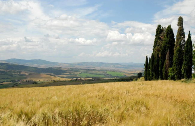 Verdidea - Vallocchie - Foto 48