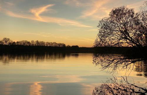 Morgensonne - a78920 - Foto 20