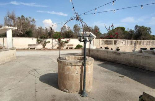 Ville Scelsa - Foto 21