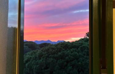 Fancy duplex penthouse in Carib Playa Cabopino - Photo 24