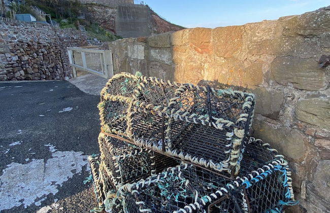 The Crail Maltings - Foto 23