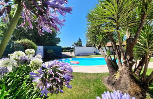 QM - Quinta da Morgadinha - Casa em Quinta Rural - Foto 51