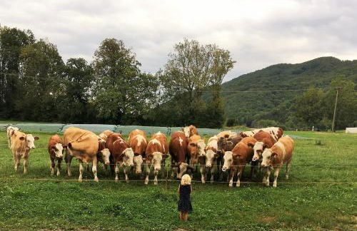 Beim Heiß'n - Photo 15