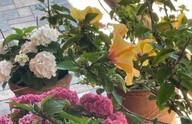 POLE POLE beautiful villa in Mati - Foto 51