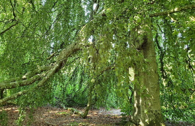 6 Person Holiday Home in Oster Assels-by Traum - Foto 12