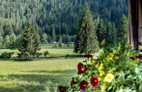 Chalet Bambi - Foto 25