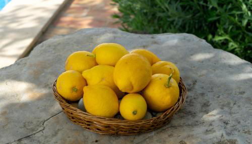 Casa Vitória - Foto 4