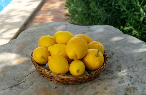 Casa Vitória - Foto 4