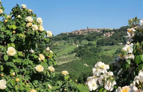 Agriturismo Paugnano - Foto 13