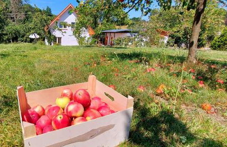 Dobre Miejsce - Foto 33