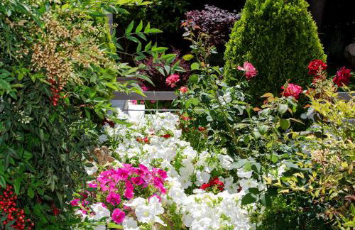 Villa Serenity - Foto 30