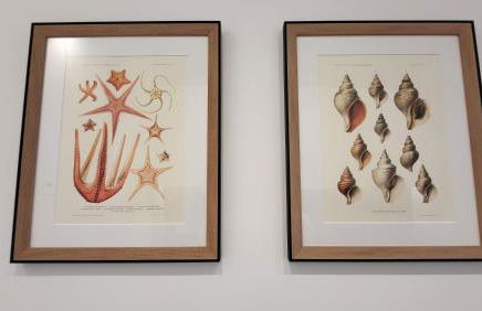 Vue pleine mer à la Perle Marine - La Terrasse - Foto 3