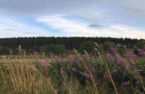 Terrace Retreat in Winterberg - Foto 44