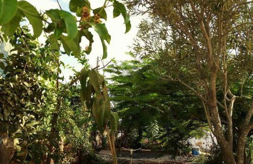 Casa antigua en el centro de Fuerteventura - Foto 10