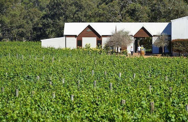 Vineyard Cottage at Upper Reach Winery - Foto 1