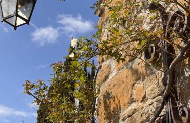 La Villa ARTE del Lupo-Two Birds - Foto 14