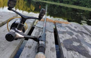 Leśny Reset - Foto 10