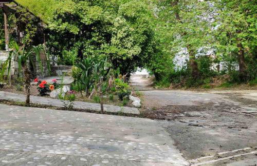 Flower house - Foto 34