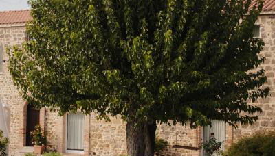 Arcadia Agriturismo - Foto 5