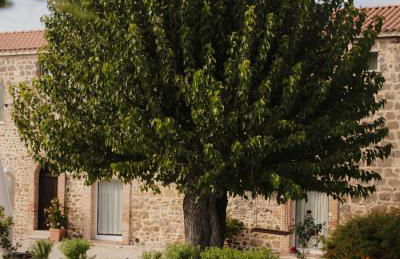 Arcadia Agriturismo - Foto 5