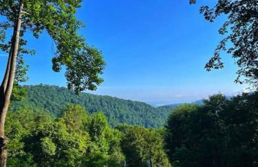 Smokey Mountain Retreat - Foto 14