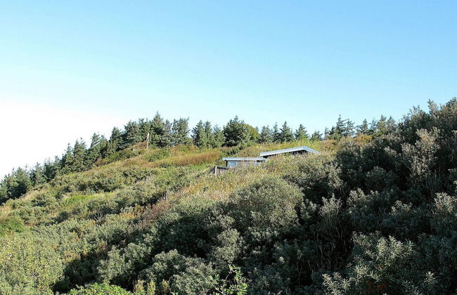 4 Person Holiday Home in Struer - Photo 20