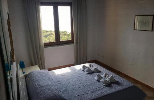 L'Emozione Tanca Piras - Foto 17