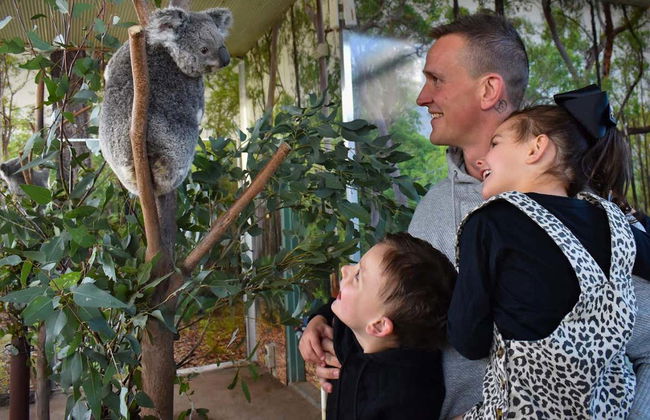 WILD LIFE Sydney Entrance Ticket - Foto 6