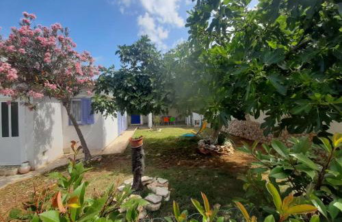 Vacation House Bimba - Pomer - Foto 4