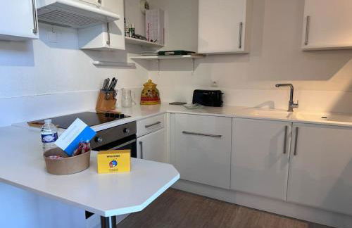 Les Lofts vue Port Guillaume - Foto 12