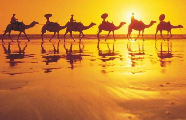 Mantra Frangipani Broome - Photo 48