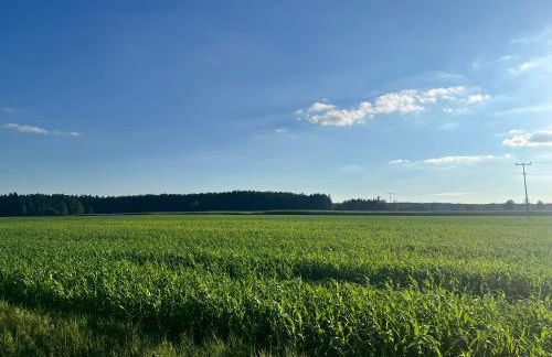 Ferienhaus Königshofen - Foto 17