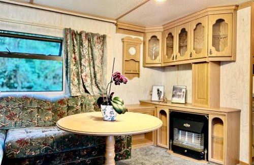 Holenderek Agro-Stajnia - Foto 8