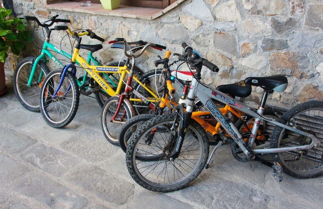 Fattoria Giunasco - Foto 24