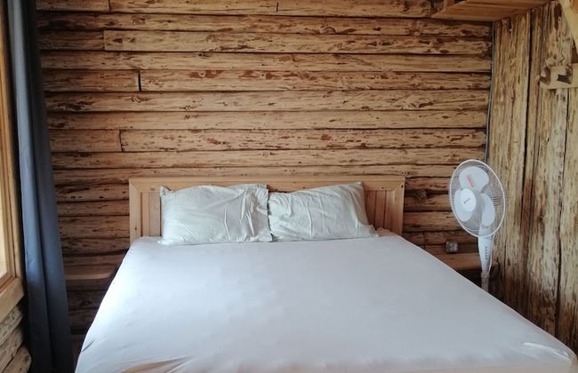 Heredot's House - Foto 14