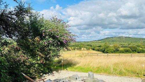 Harpers Huts - Zara - Foto 4