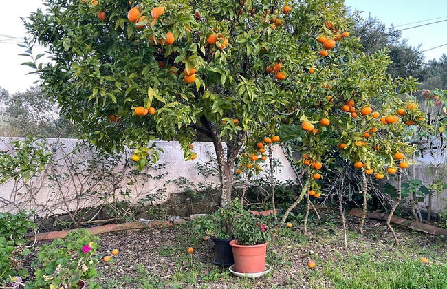 VISITAR BIOUCAS I - Casa Inteira Familiar e Grupo de Amigos - Foto 54