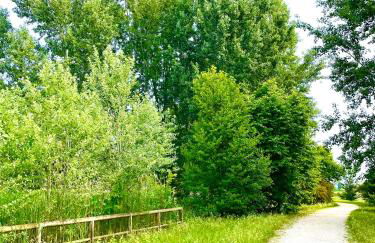 CA' DEL SOLE ITALIA - Attico Panoramico in Centro Storico - Photo 65