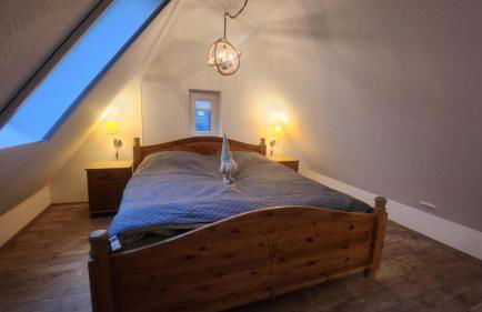 Ferienwohnung FeWo Plaggenburg - Das Familienreich - Photo 17